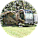 Al