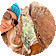 Tara